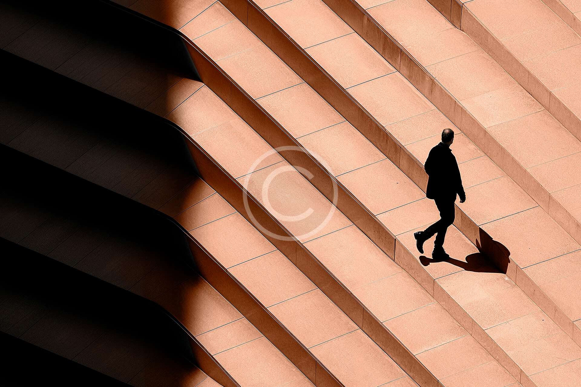 Custom Software Built to Power Your Business Operations